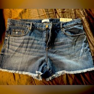 Women’s loft jean shorts size 14